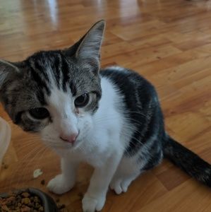 Meet your Posher, Edward